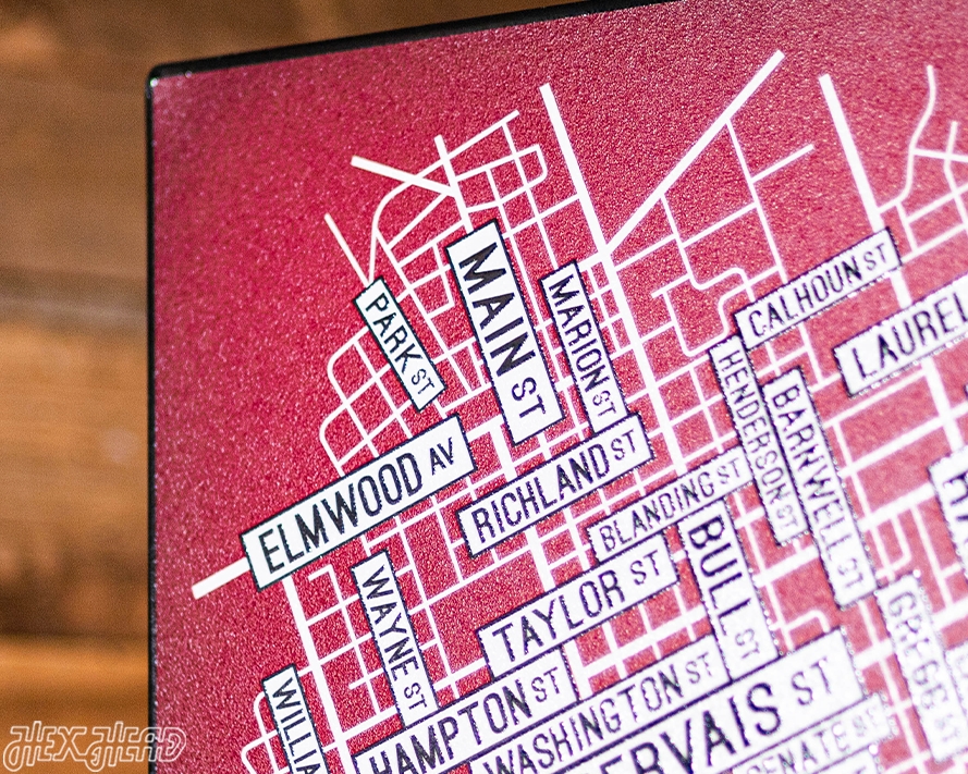 Columbia, South Carolina School Street Poster Single Layer Metal Wall Art