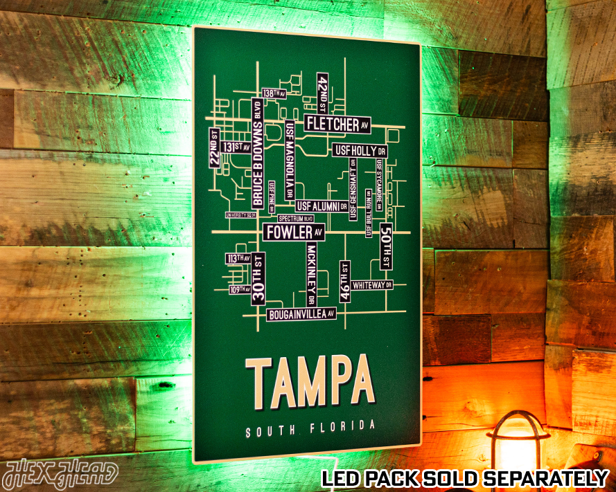 Tampa, South Florida School Street Poster Single Layer Metal Wall Art