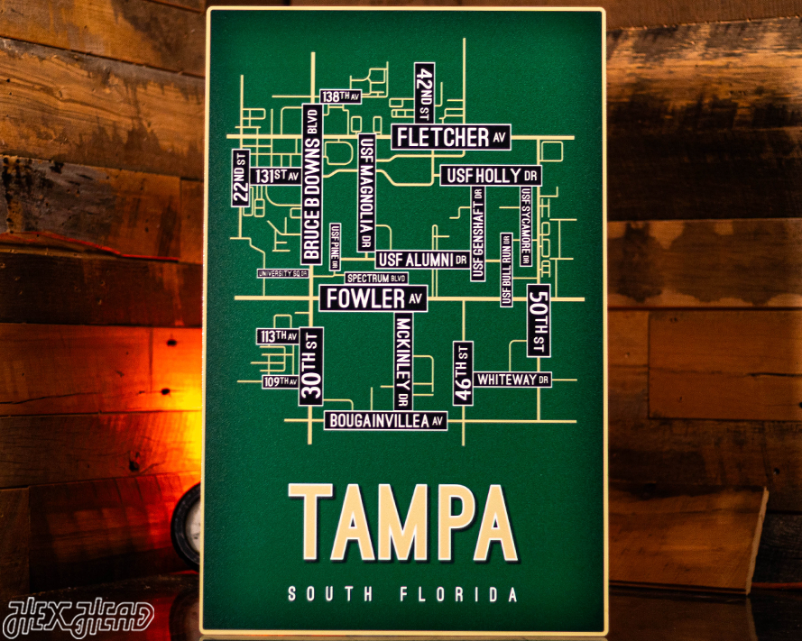 Tampa, South Florida School Street Poster Single Layer Metal Wall Art