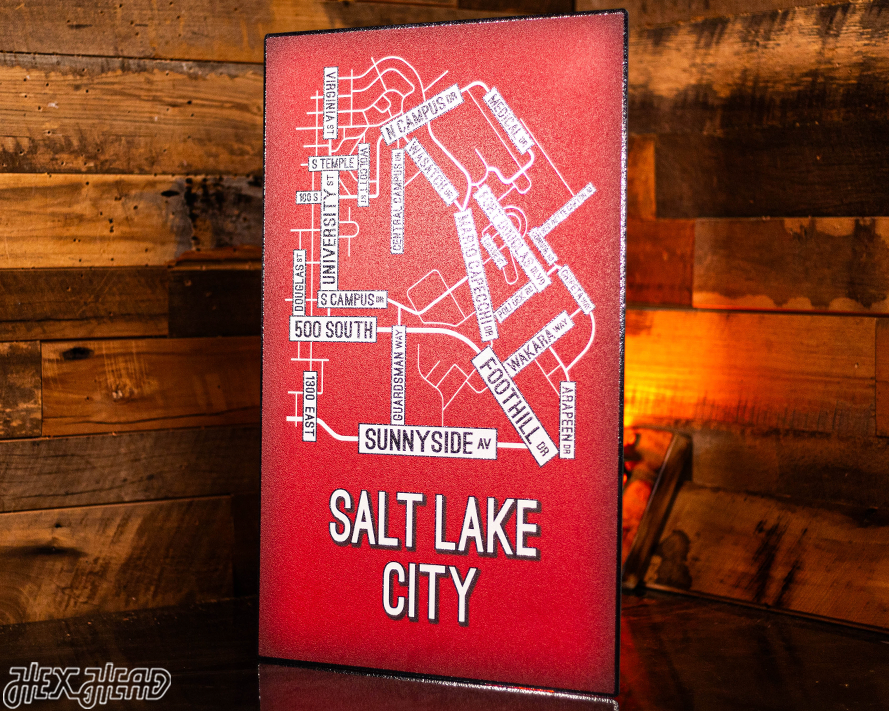 Salt Lake City School Street Poster Single Layer Metal Wall Art