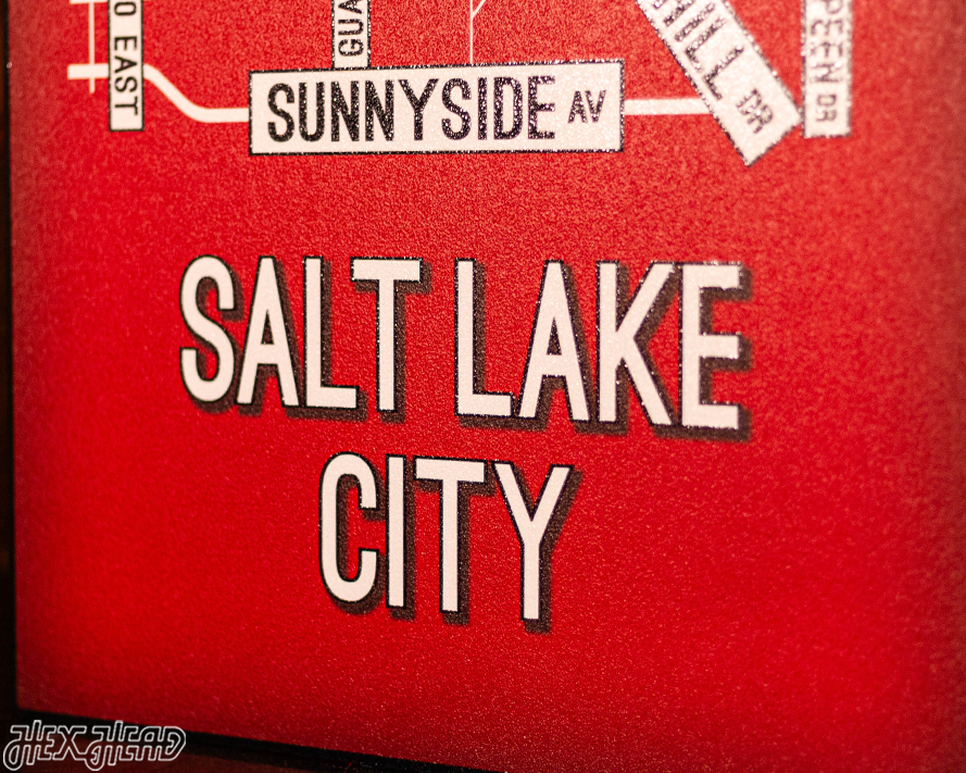 Salt Lake City School Street Poster Single Layer Metal Wall Art