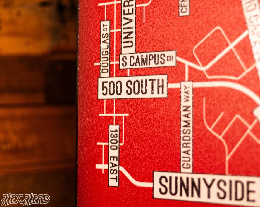 Salt Lake City School Street Poster Single Layer Metal Wall Art