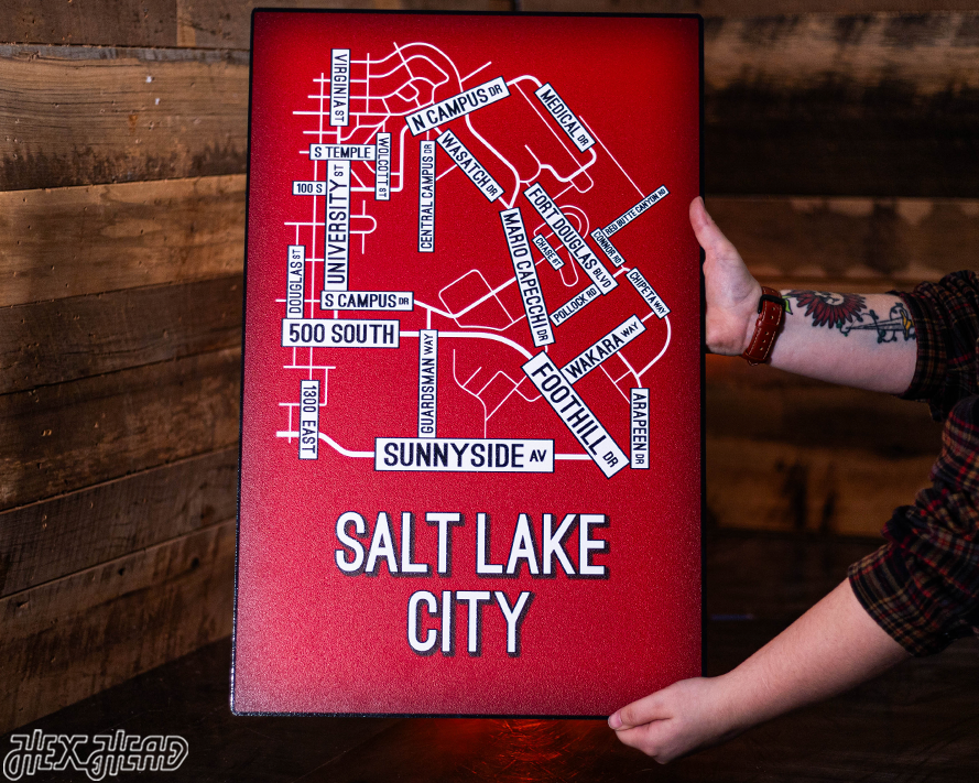Salt Lake City School Street Poster Single Layer Metal Wall Art