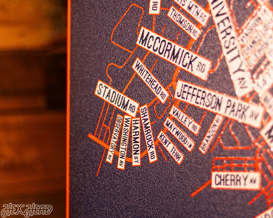 Charlottesville, Virginia School Street Poster Single Layer Metal Wall Art