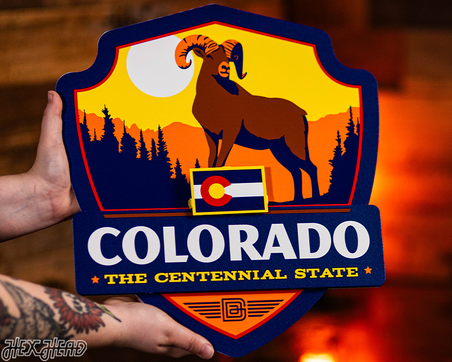 Colorado State Badge 3D Metal Wall Art