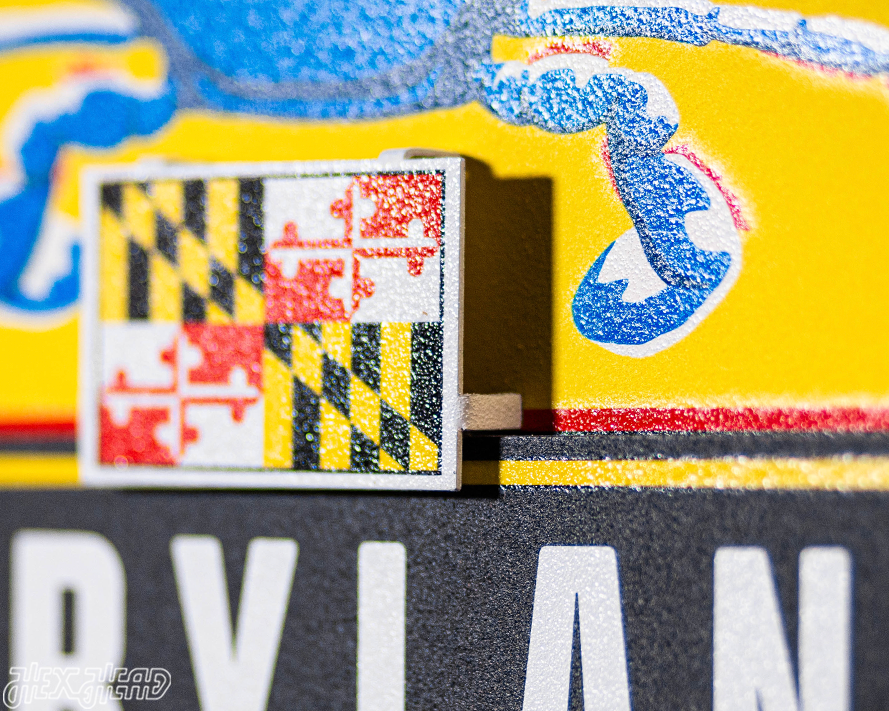Maryland State Badge 3D Metal Wall Art