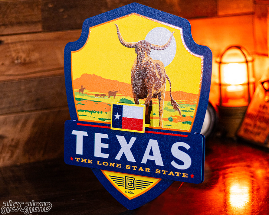 Texas State Badge 3D Metal Wall Art