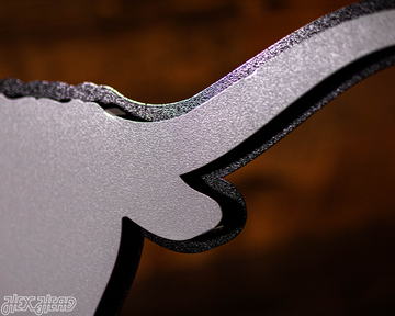 MONOCHROME - Texas Longhorns  "LONGHORN" 3D Vintage Metal Wall Art