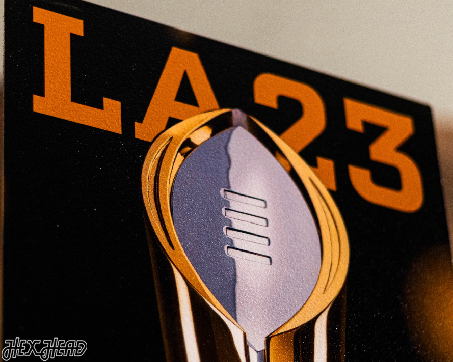 Georgia Bulldogs 2023 National Championship Ticket Stub Single Layer Metal Wall Art