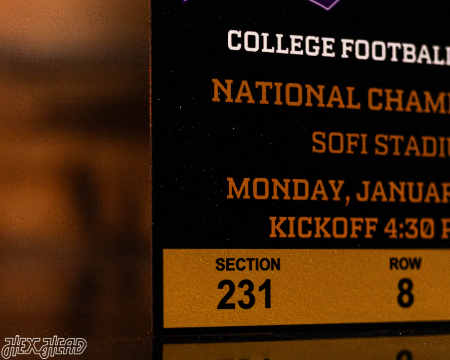 Georgia Bulldogs 2023 National Championship Ticket Stub Single Layer Metal Wall Art
