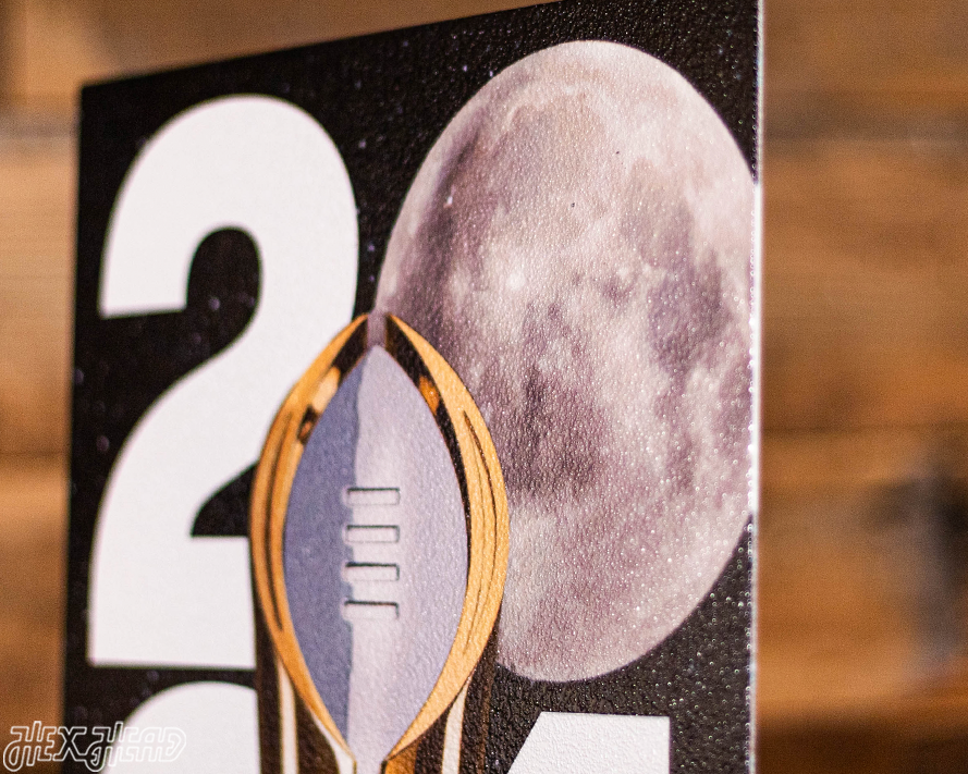 Michigan Wolverines 2024 National Championship Ticket Stub Single Layer Metal Wall Art