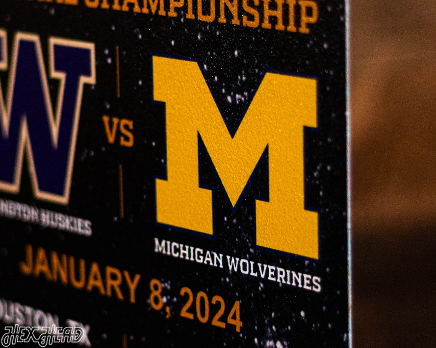 Michigan Wolverines 2024 National Championship Ticket Stub Single Layer Metal Wall Art