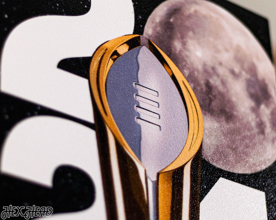 Michigan Wolverines 2024 National Championship Ticket Stub Single Layer Metal Wall Art