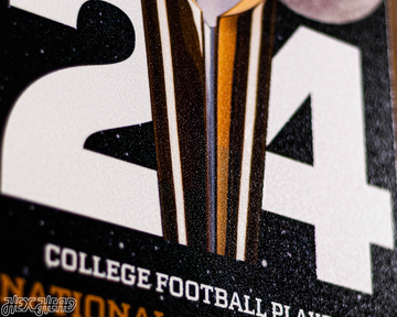 Michigan Wolverines 2024 National Championship Ticket Stub Single Layer Metal Wall Art