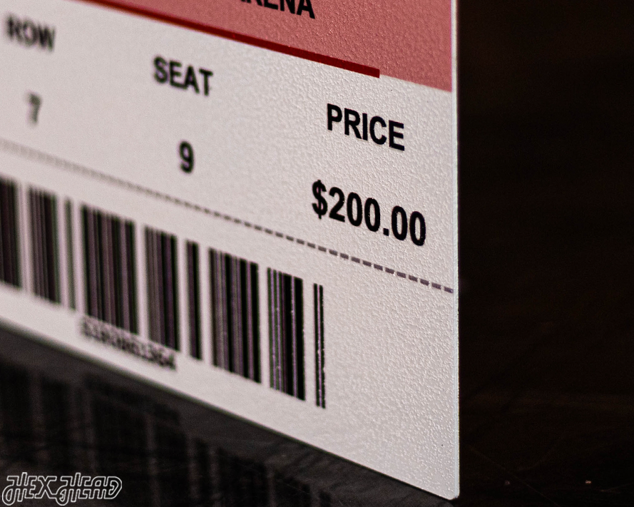 Florida Panthers 2024 Stanley Cup Ticket Stub Single Layer Metal Wall Art