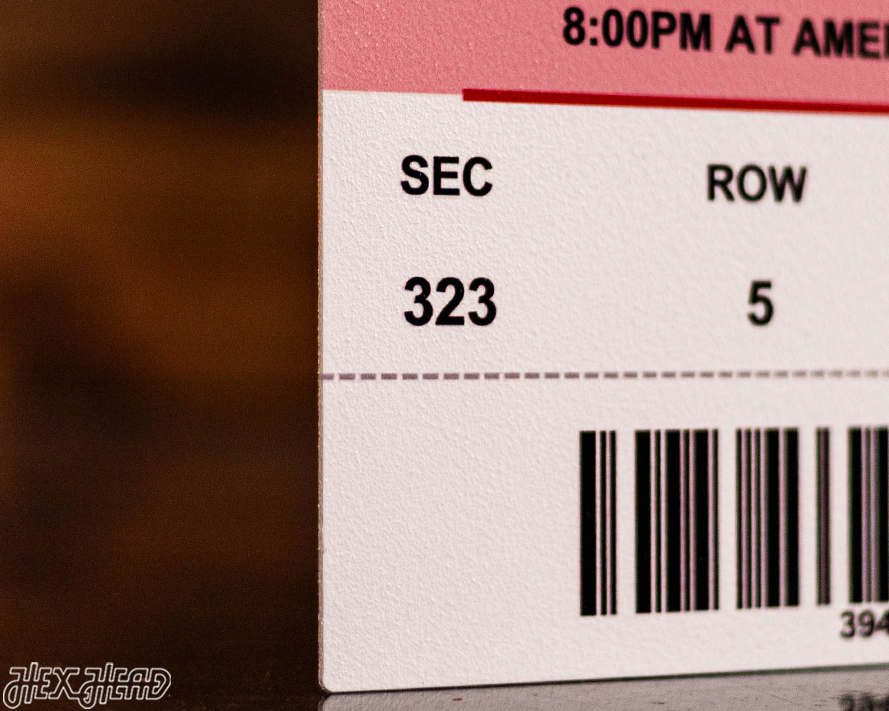 Florida Panthers 2025 Stanley Cup Ticket Stub Single Layer Metal Wall Art