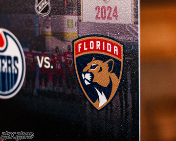 Florida Panthers 2025 Stanley Cup Ticket Stub Single Layer Metal Wall Art