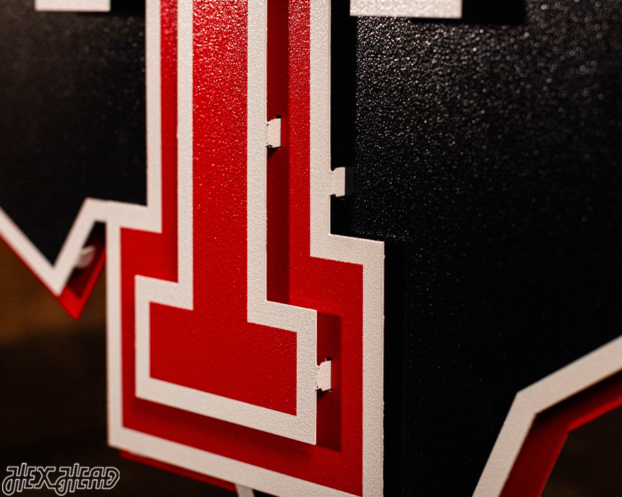 Texas Tech Red Raiders Double T On State 3D Metal Wall Art