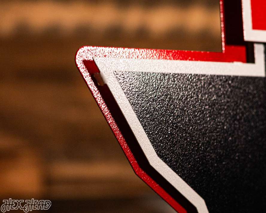 Texas Tech Red Raiders Double T On State 3D Metal Wall Art