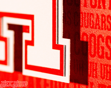 Houston Cougars CRAFT SERIES 3D Embossed Metal Wall Art