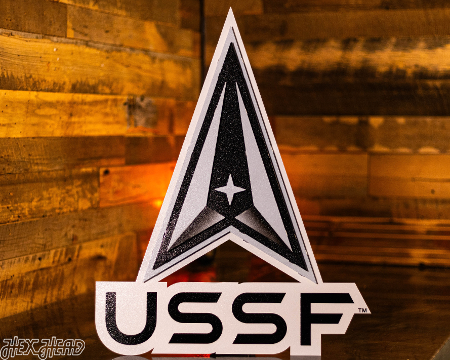 United States Space Force 3D Vintage Metal Wall Art