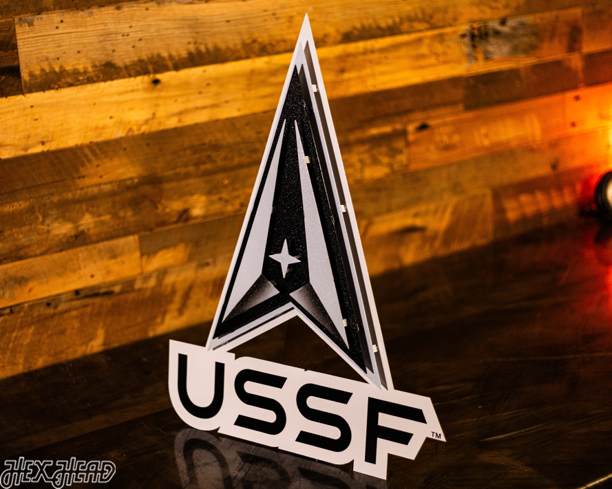 United States Space Force 3D Vintage Metal Wall Art