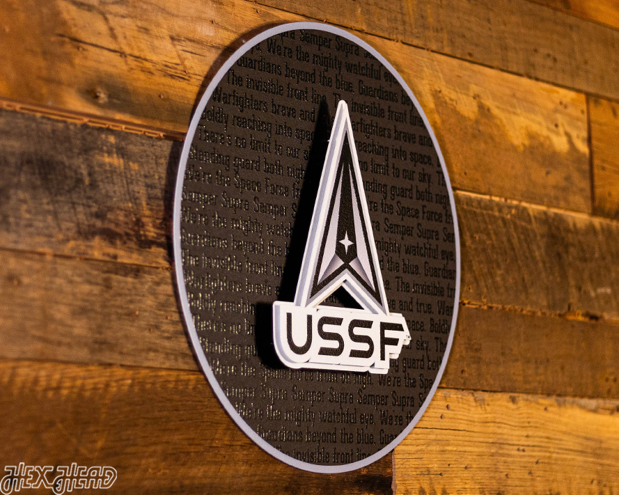 United States Space Force CRAFT SERIES 3D Embossed Metal Wall Art