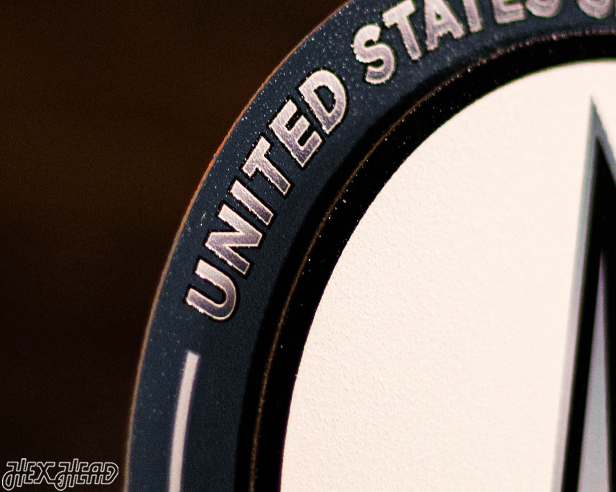 United States Space Force "Double Play" On the Shelf or on the Wall Art