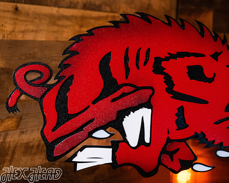 Arkansas Razorbacks VAULT