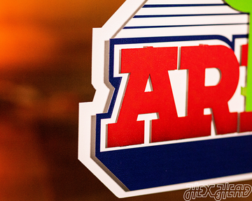 Arizona Wildcats Vintage "Cactus" Desert logo