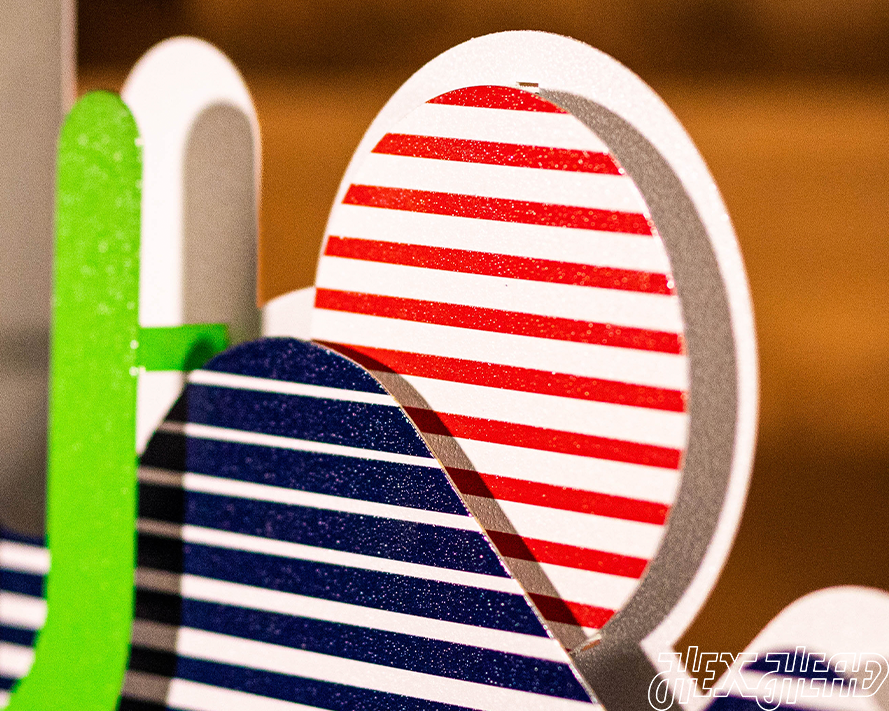 Arizona Wildcats Vintage "Cactus" Desert logo