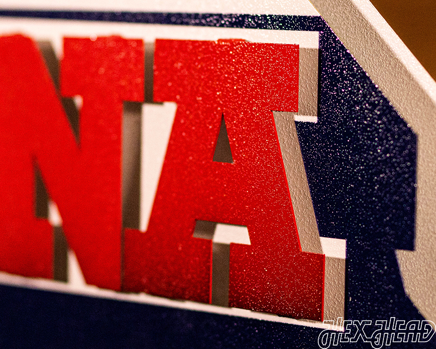 Arizona Wildcats Vintage "Cactus" Desert logo