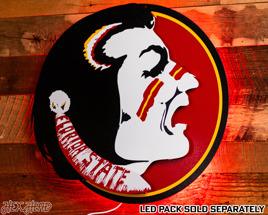 Florida State VAULT "Seminole Head" 3D Metal Wall Art