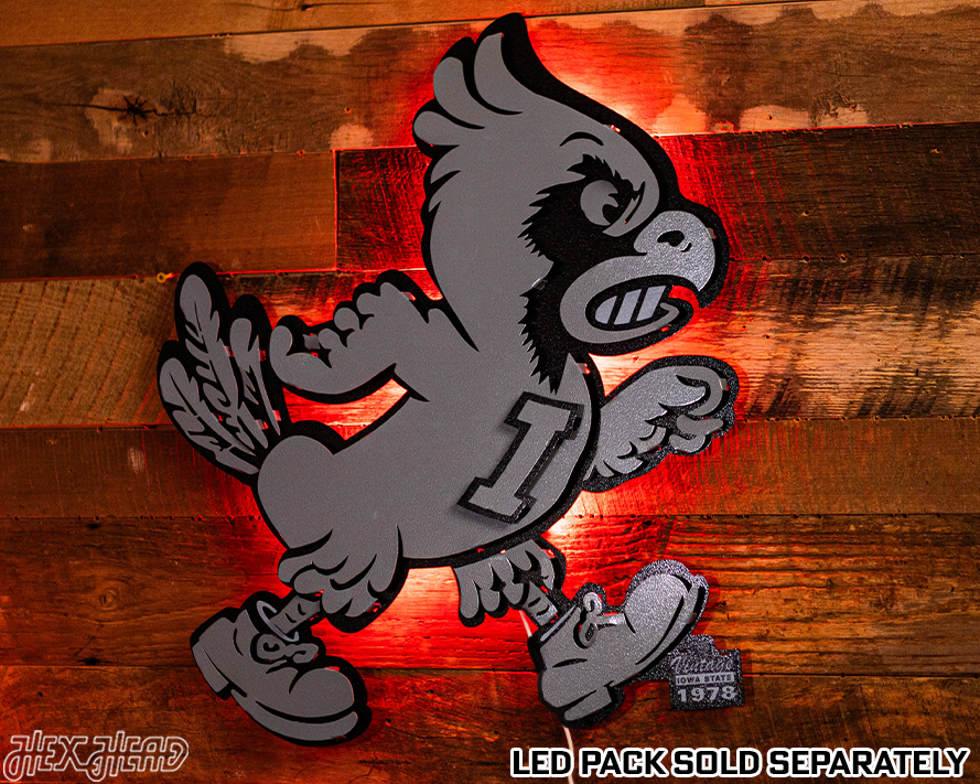 MONOCHROME -  Iowa State Cyclones VAULT "CY" 3D Vintage Metal Wall Art