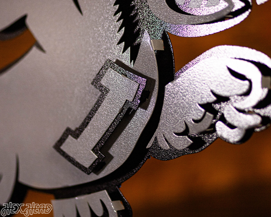 MONOCHROME -  Iowa State Cyclones VAULT "CY" 3D Vintage Metal Wall Art