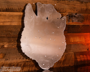 Washington VAULT Huskie 3D Vintage Metal Wall Art