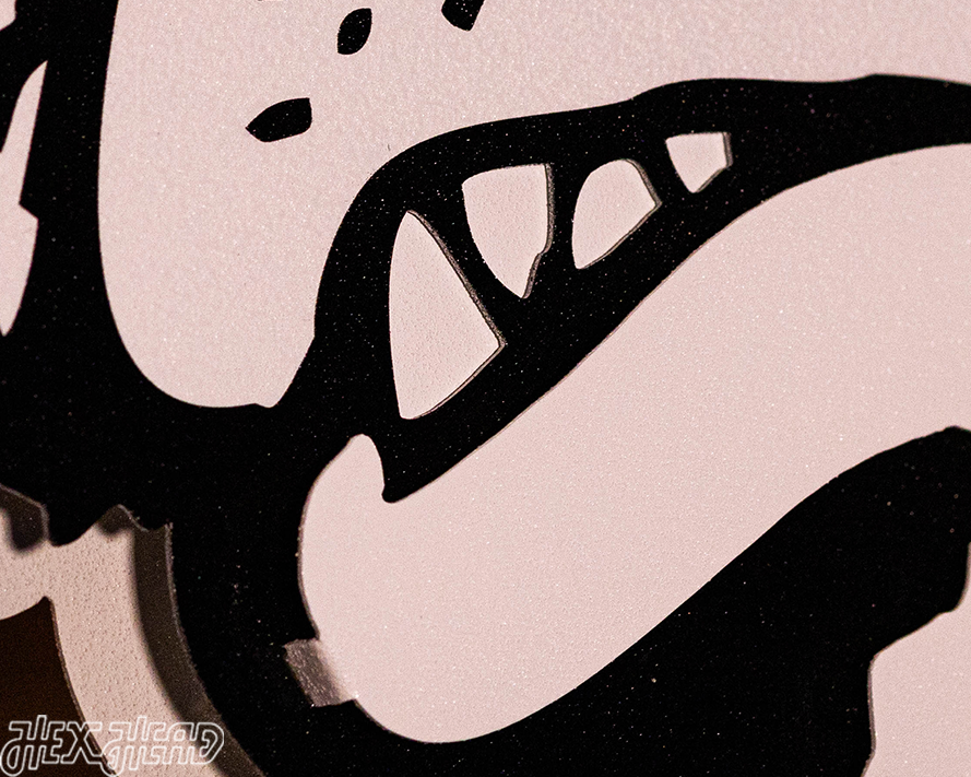 Washington VAULT Huskie 3D Vintage Metal Wall Art