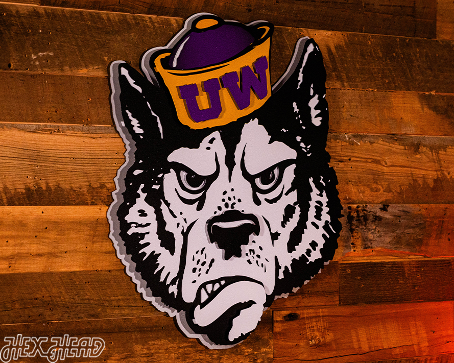 Washington VAULT Huskie 3D Vintage Metal Wall Art