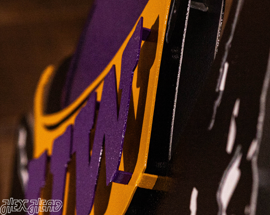 Washington VAULT Huskie 3D Vintage Metal Wall Art