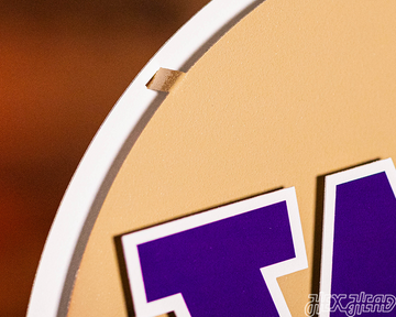 Washington Huskies BLITZ COLLECTION - 8 LAYER 3D Metal Wall Art