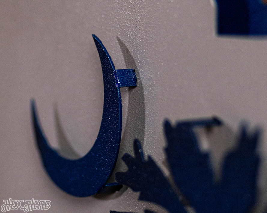 South Carolina State Emblem 3D Vintage Metal Wall Art