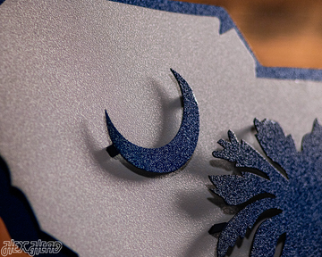 South Carolina State Emblem 3D Vintage Metal Wall Art