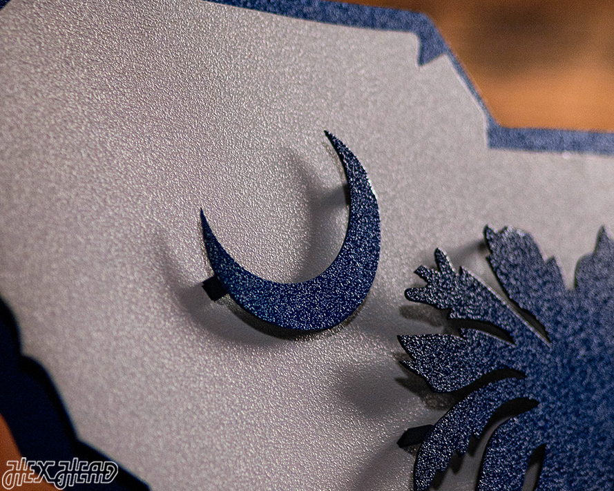 South Carolina State Emblem 3D Vintage Metal Wall Art