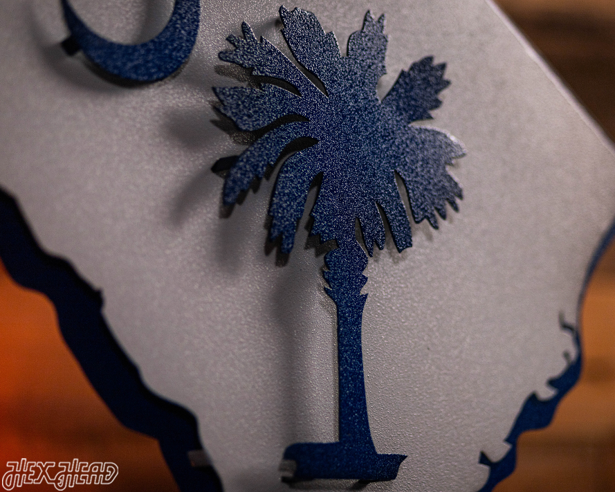 South Carolina State Emblem 3D Vintage Metal Wall Art