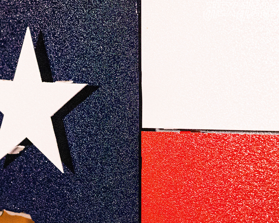 Lone Star State of Texas Flag 3D Vintage Metal Wall Art