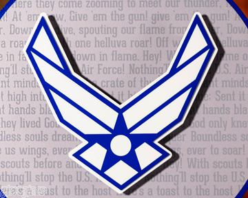 United States Air Force CRAFT SERIES 3D Embossed Metal Wall Art