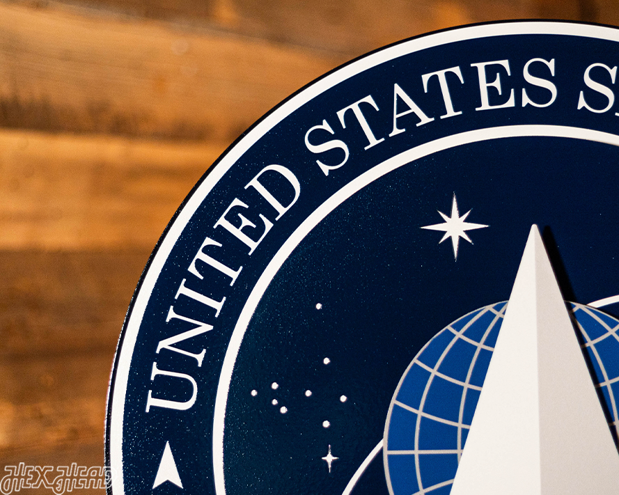 United States Space Force Seal 3D Vintage Metal Wall Art