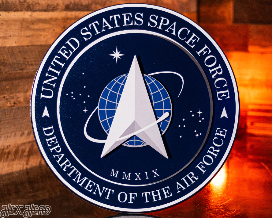 United States Space Force Seal 3D Vintage Metal Wall Art