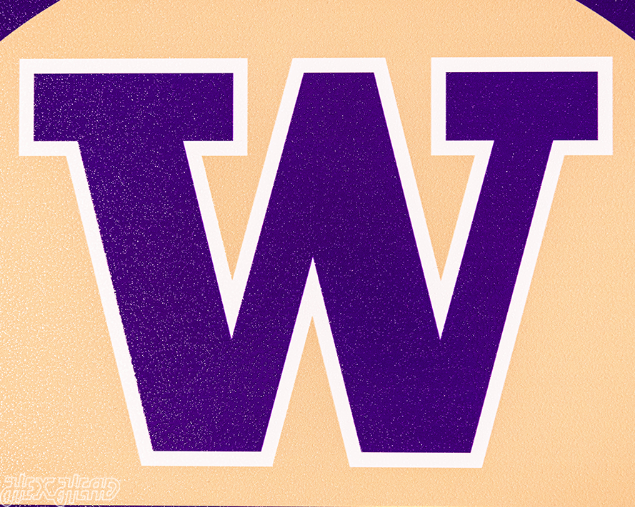 Washington Huskies Personalized Monogram Metal Art