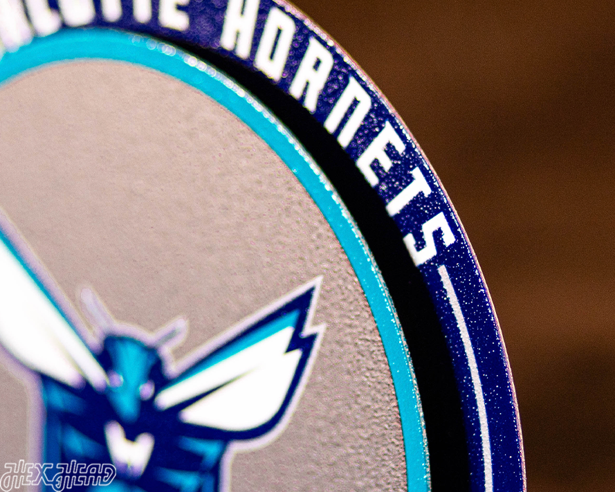 Charlotte Hornets "Double Play" On the Shelf or on the Wall Art